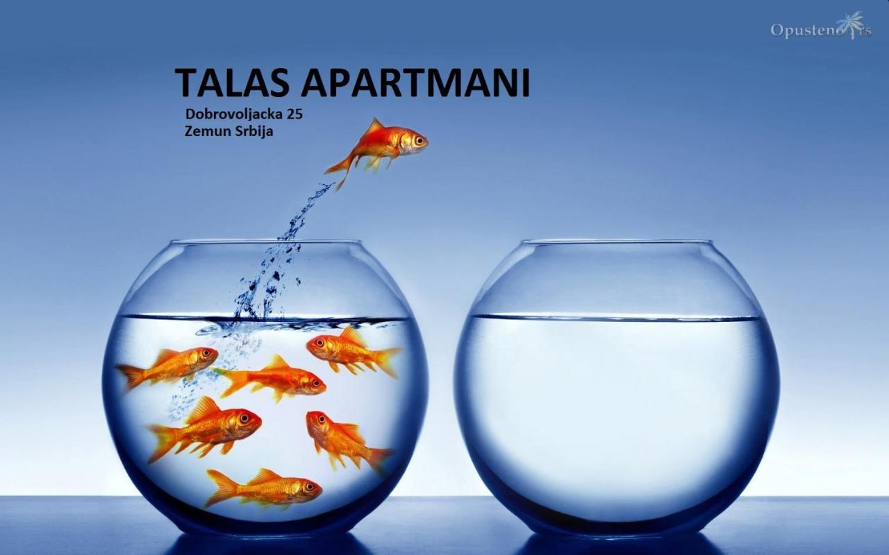 Talas Apartmani Beograd Ngoại thất bức ảnh